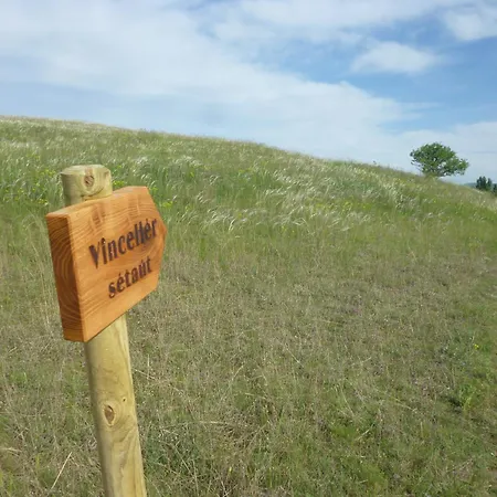 Vinceller Vendeghaz 度假居 Kiralyszentistvan