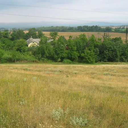 Vinceller Vendeghaz Kiralyszentistvan