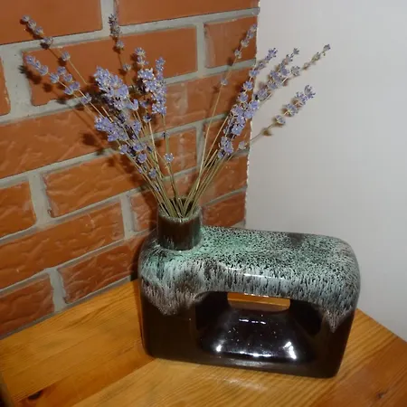 Vinceller Vendeghaz Kiralyszentistvan