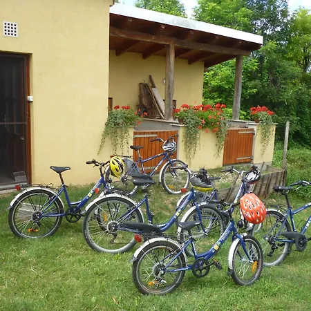 Semesterbostad Vinceller Vendeghaz