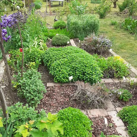 Semesterbostad Vinceller Vendeghaz