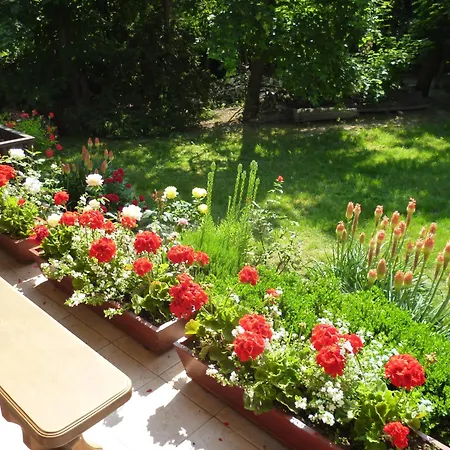 Vinceller Vendeghaz Σπίτι διακοπών