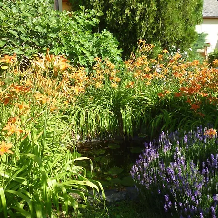 Vinceller Vendeghaz Σπίτι διακοπών