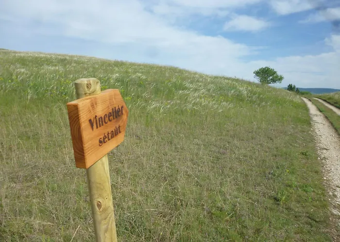 Vinceller Vendeghaz 度假居 Kiralyszentistvan