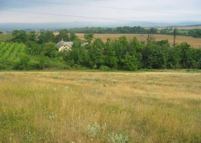 Vinceller Vendeghaz Kiralyszentistvan