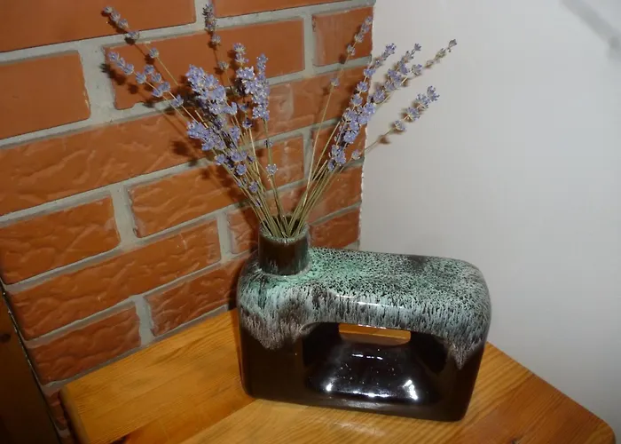 Vinceller Vendeghaz Kiralyszentistvan