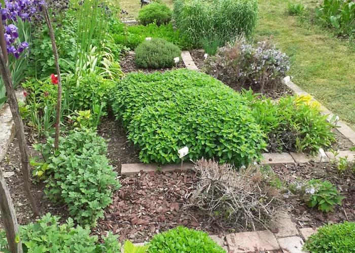 Vakantiehuis Vinceller Vendeghaz