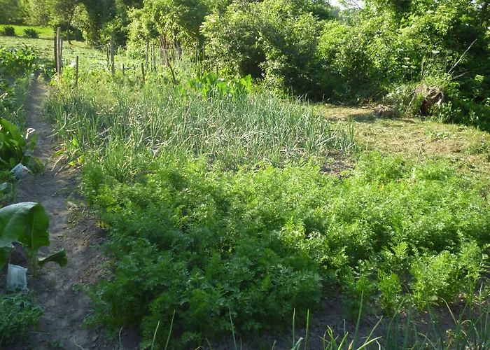 Vakantiehuis Vinceller Vendeghaz