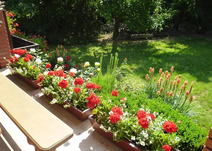 Vinceller Vendeghaz 度假居
