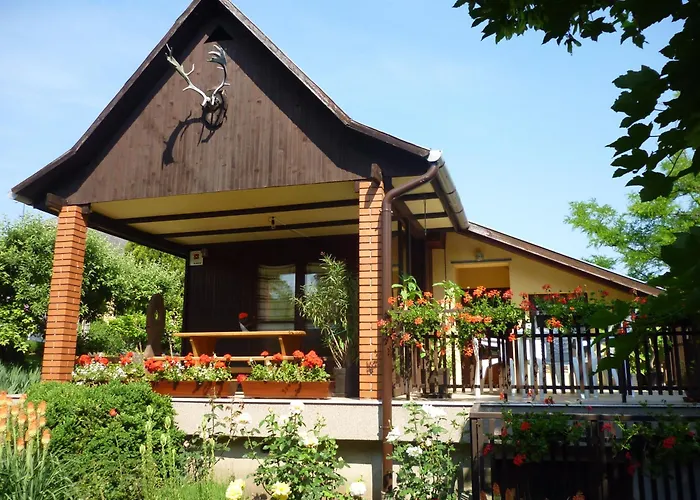 Vinceller Vendeghaz Kiralyszentistvan