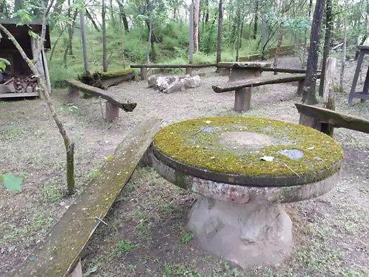 Vinceller Vendeghaz * Kiralyszentistvan